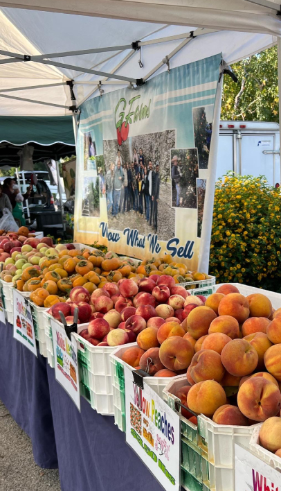 fruits market in ojai california