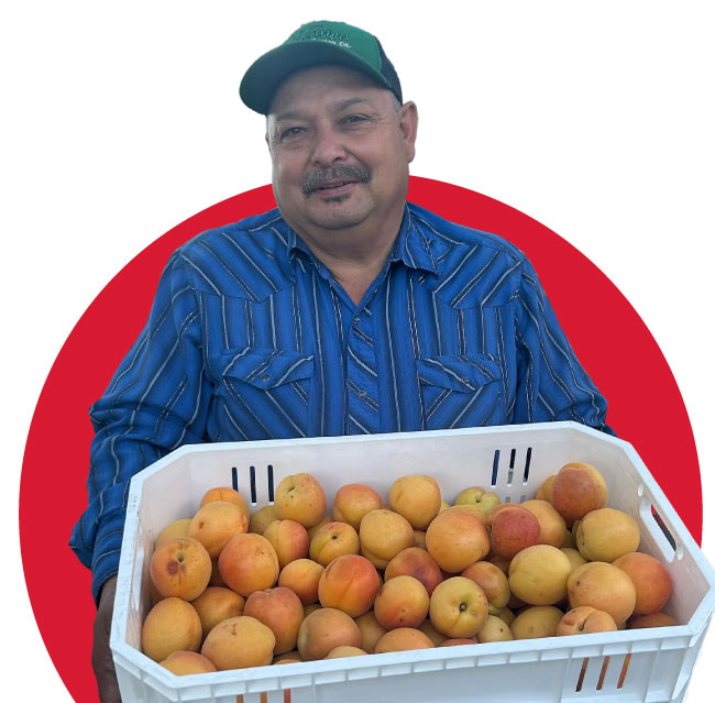 G-Farms-fruits2 family-owned and operated farm established in 2008