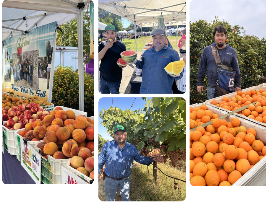 Shop Fruits at G Farms Inc. Locally Grown, Peak Flavor